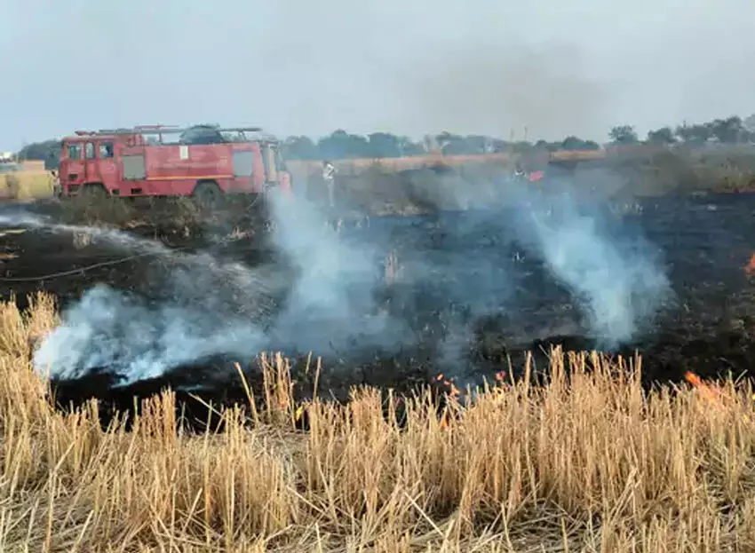 बलौदाबाजार मे पराली जलाने से 10 एकड़ खेत में भीषण आग, लपटें फ़ैल रही